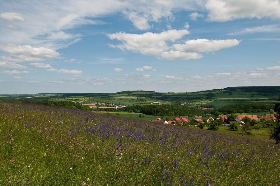 bliesgau