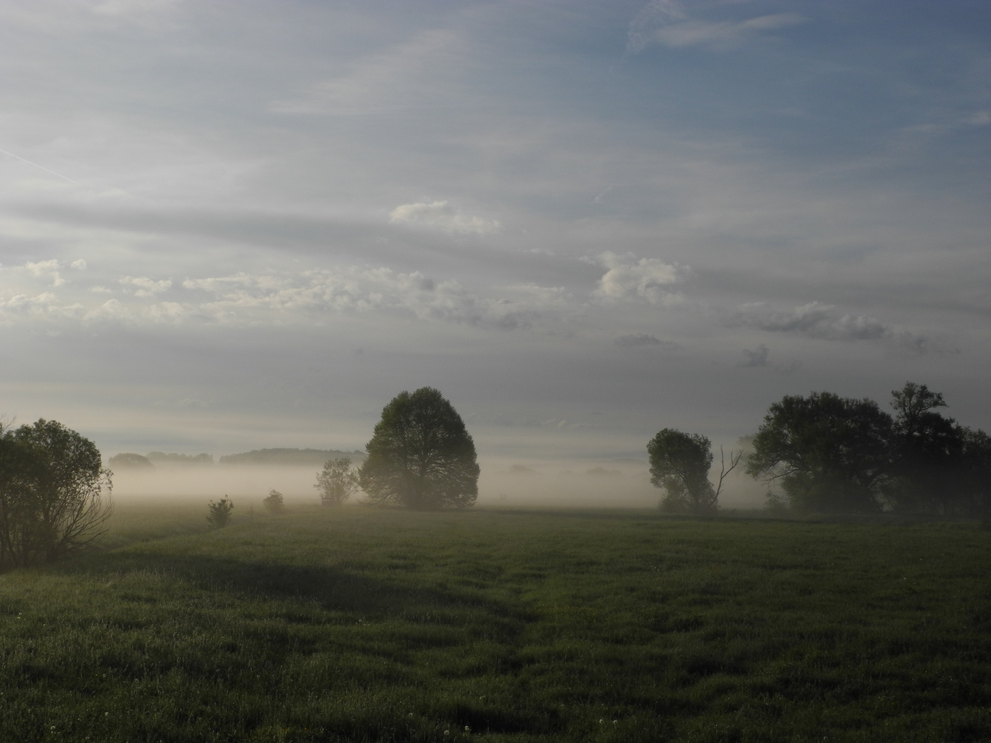 Bliestal im Nebel Teil 2