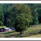 Blind Brook Farm