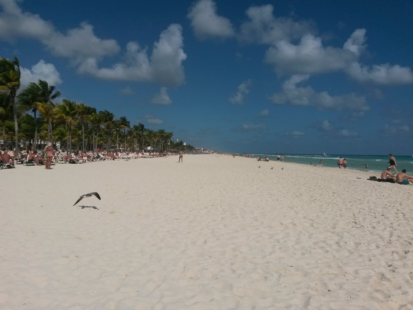 blinded by the beach