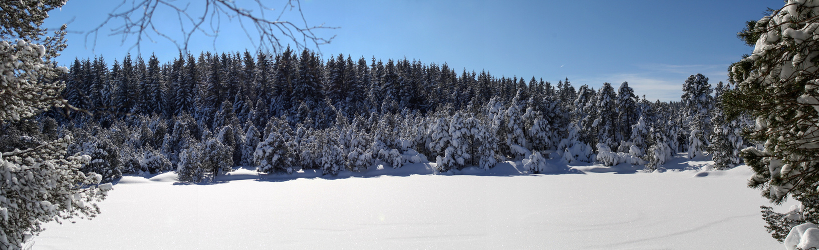 Blindensee im Winter