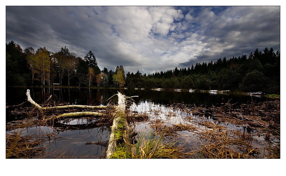 Blindsee bei Schönwald