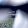 BlinkyBillL