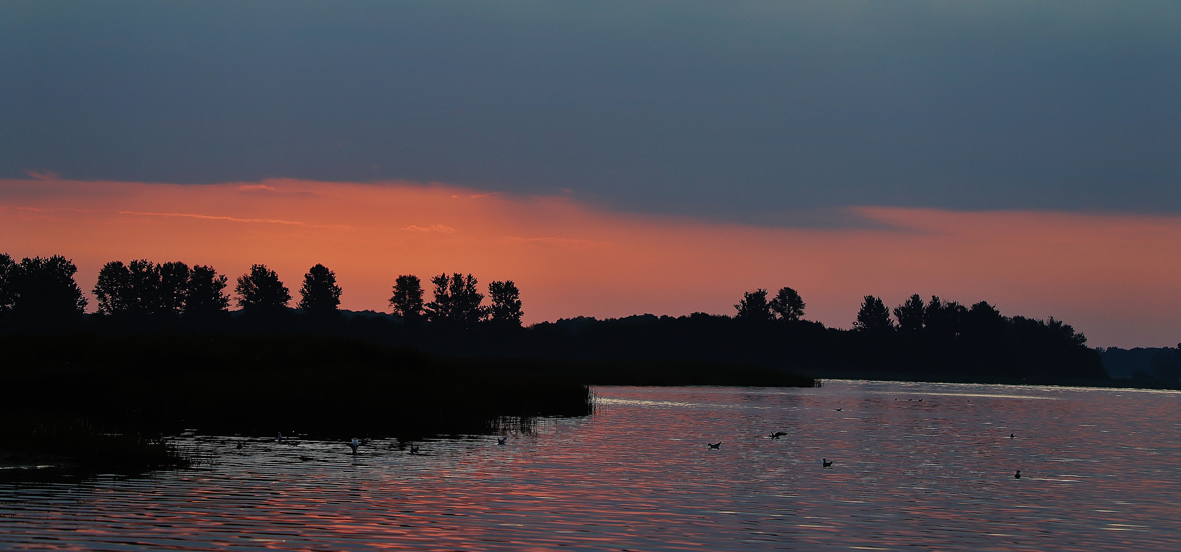 Blitzbesuch Insel Rügen 09/ 2021 (2)