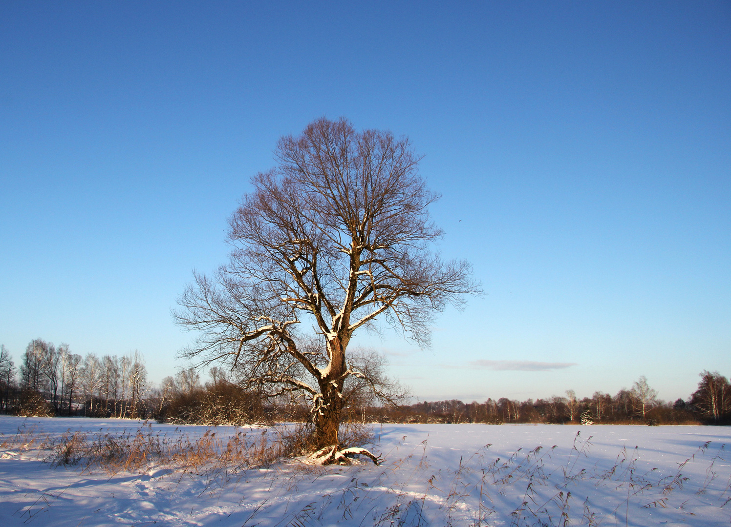 blitzblauer Winterhimmel