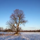 blitzblauer Winterhimmel