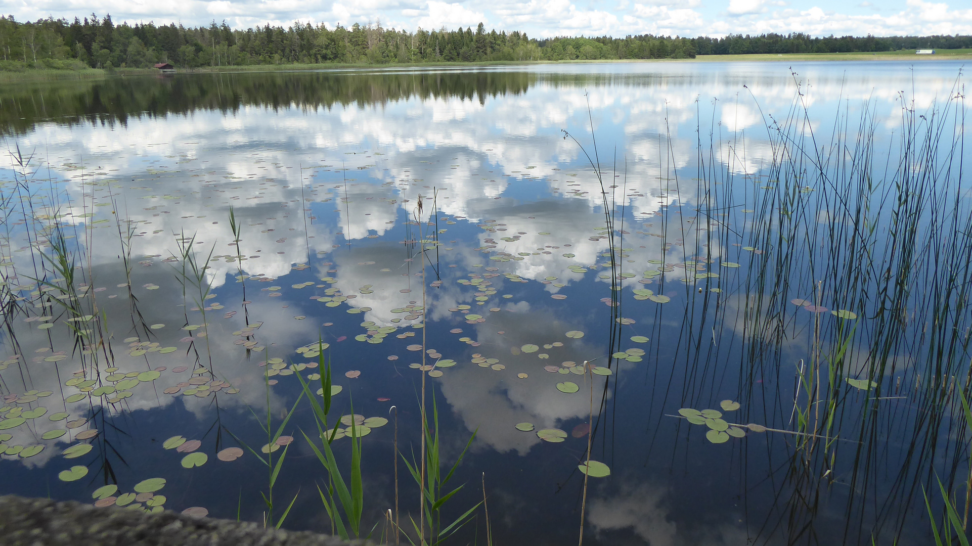 BlitzenreuterSeenplatte_08