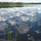 BlitzenreuterSeenplatte_08