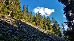 Blockhalde am Urwaldpfad