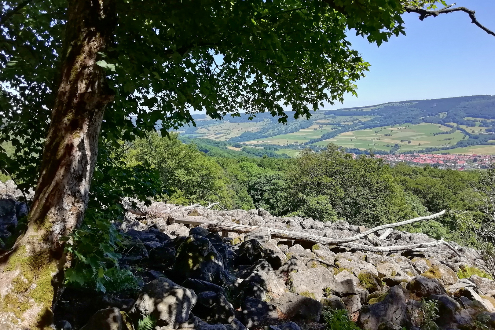 Blockhalde in der Rhön (IMG_20190628_135110_ji)