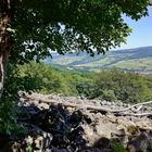 Blockhalde in der Rhön (IMG_20190628_135110_ji)