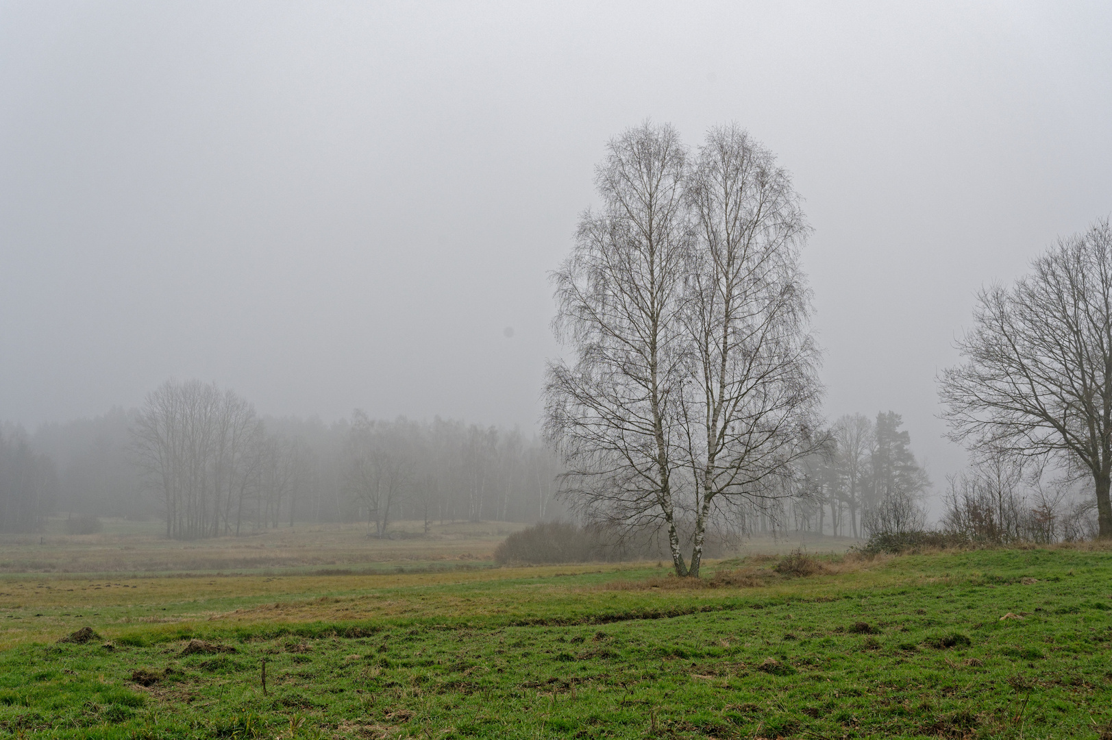 blockheide gmünd