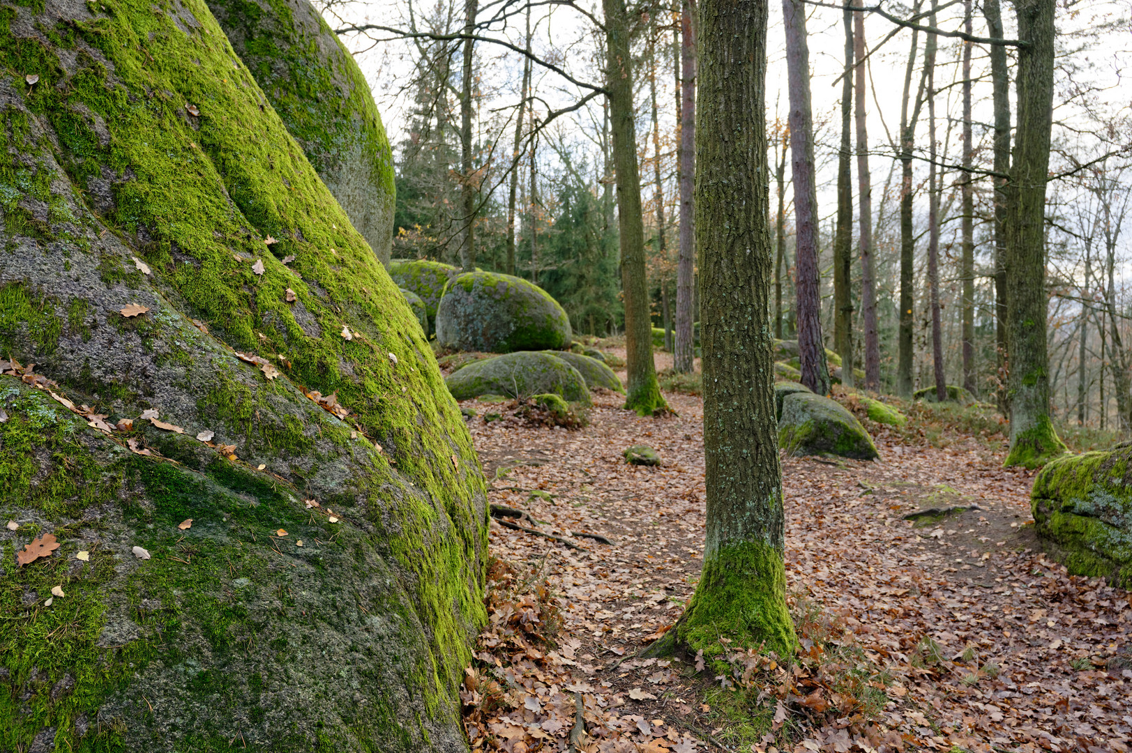 blockheide gmünd 