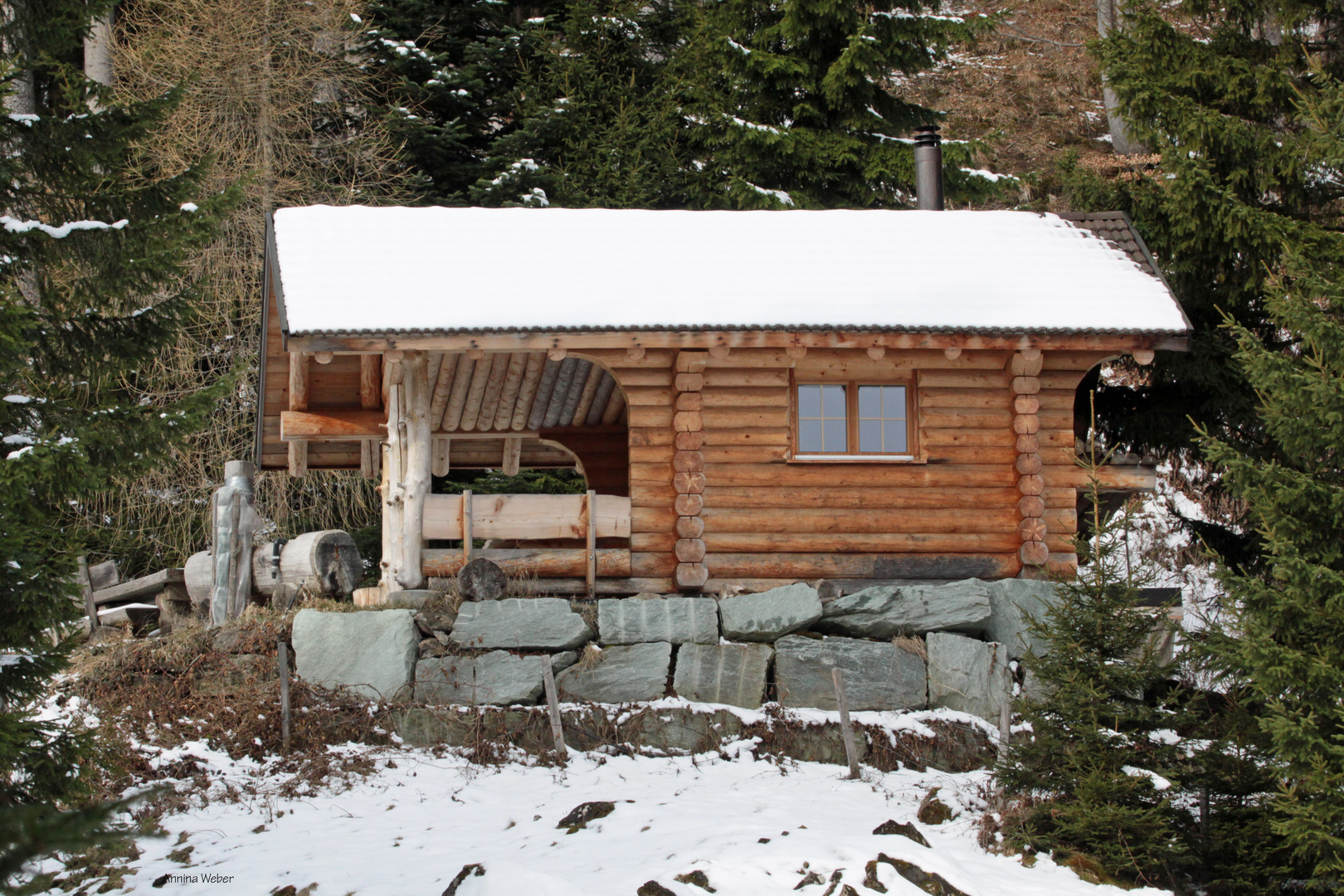 Blockhütte Purlifenz