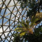 Blodel Floral Conservatory _ VANCOUVER