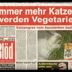 Blöd-Zeitung