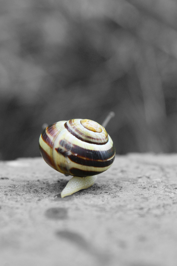 Blöde Paparazzi ... Ich hau ab!