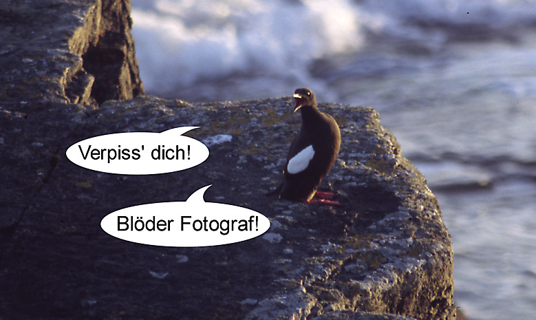 Blöder Fotograf!