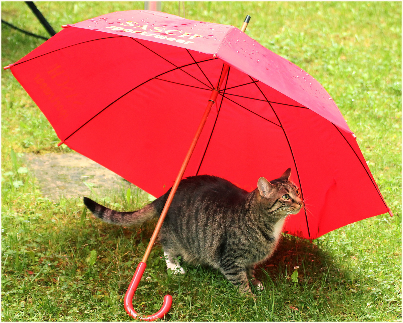 Blödes Wetter....