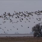 Blödmänner am Neusiedlersee....