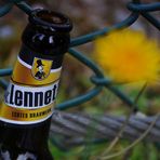 Blömcher & Bier