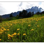 Blömcherblick Richtung Pilatus