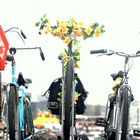 Bloemen Fiets