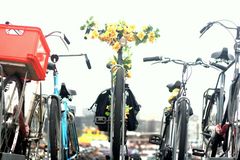 Bloemen Fiets