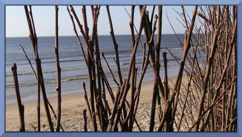 Bloemendaal aan Zee