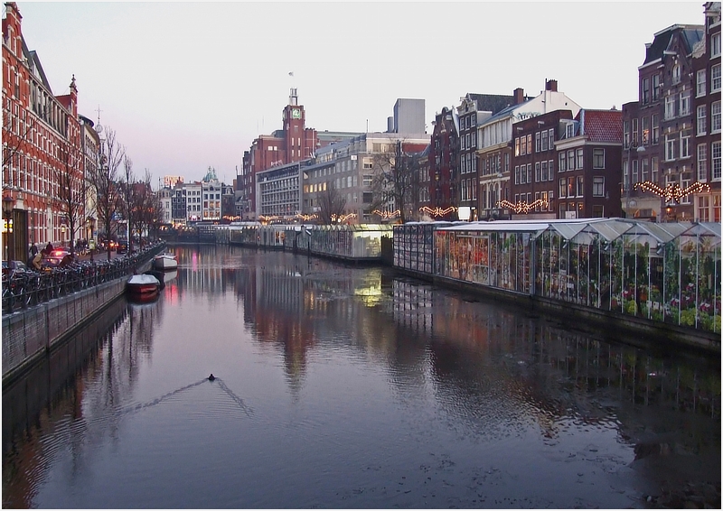 Bloemenmarkt Amsterdam - vor genau einem Jahr