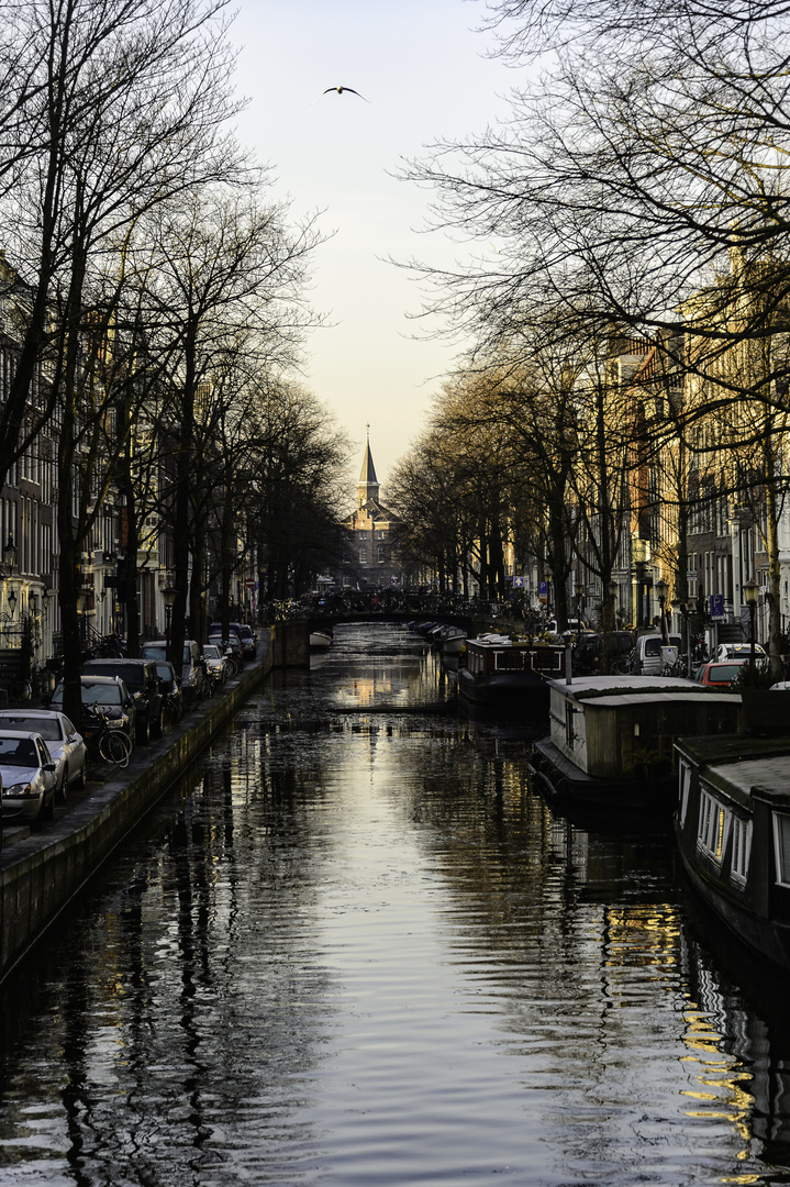 Bloemgracht