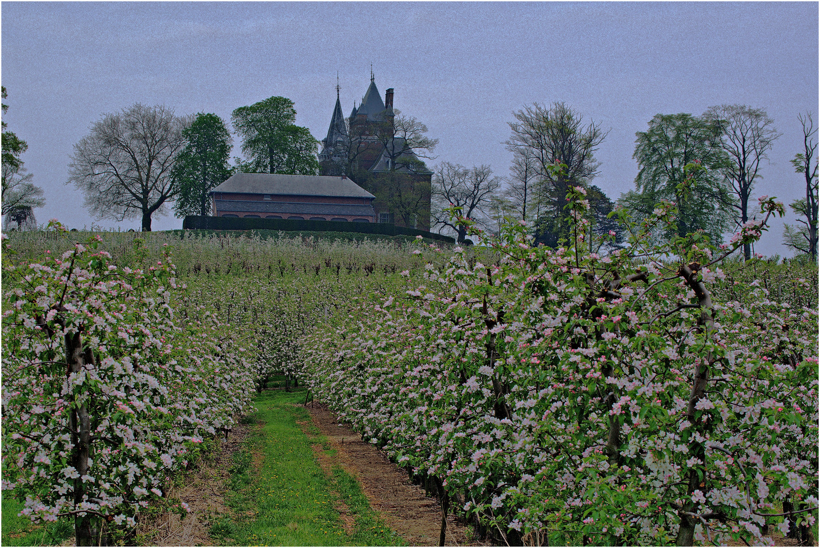 Bloesem Borgloon