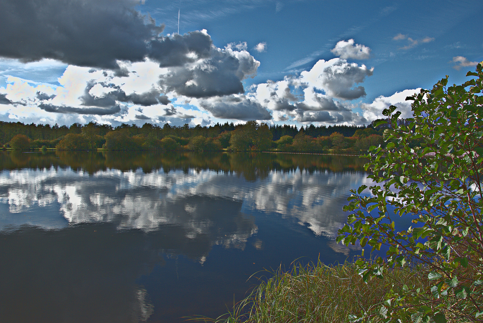 BloherSee