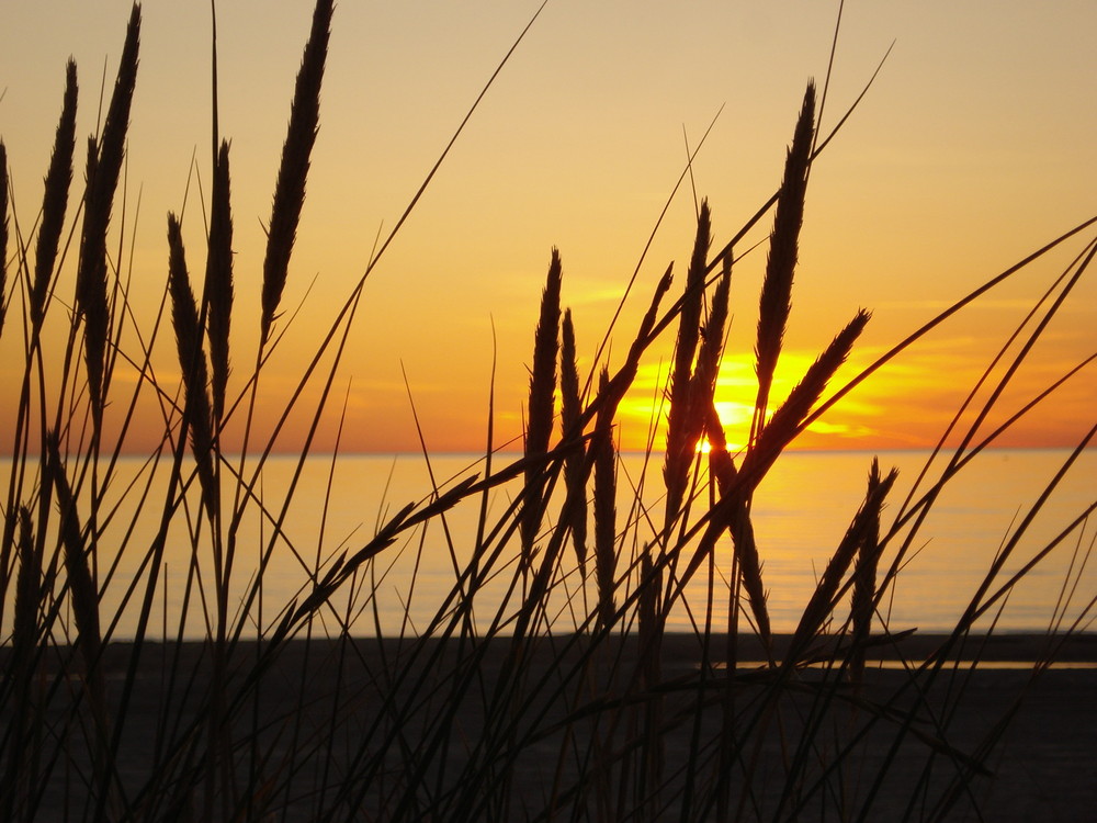 Blokhus, Dänemark