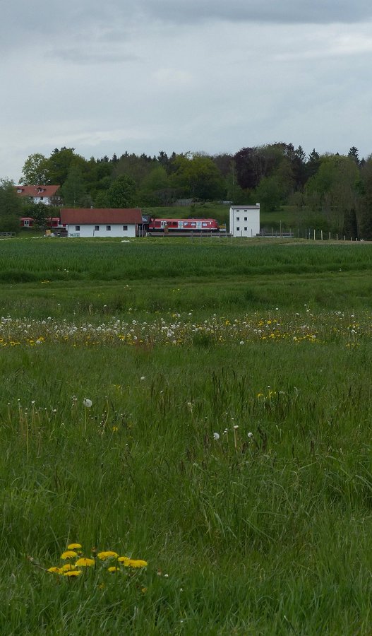 Blomen statt Leoparden