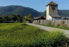 Blomen und blühende Landschaften