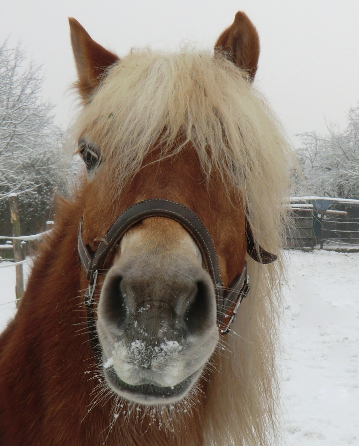 Blond, na und ?