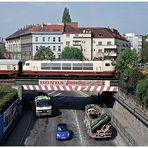 Blondi in Wien