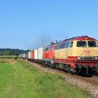 Blondine am Containerzug