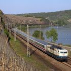 Blondine an der Mosel