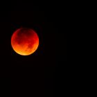 Blood Moon