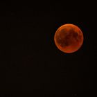 Blood Moon 