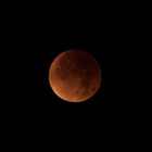 Blood Moon 