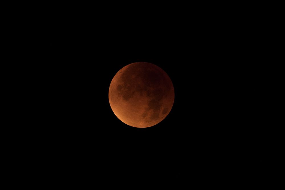 Blood Moon 