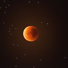 Blood Moon