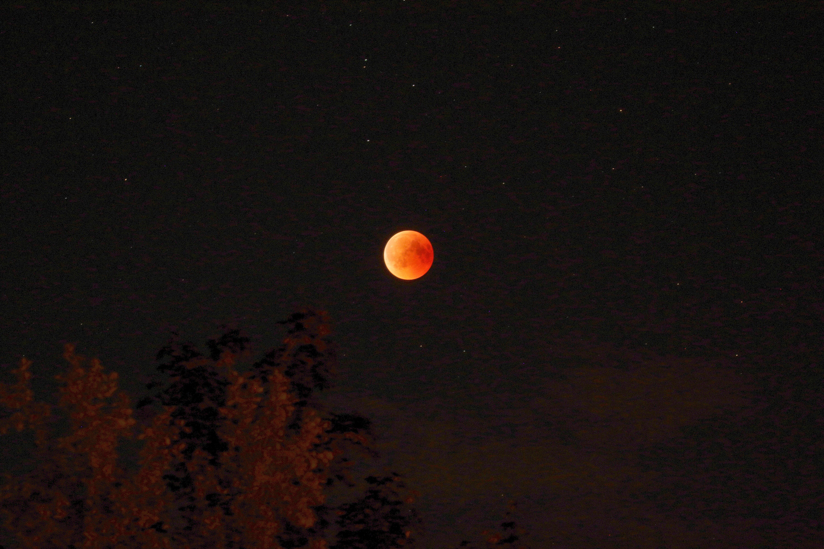 Blood Moon