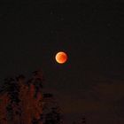 Blood Moon