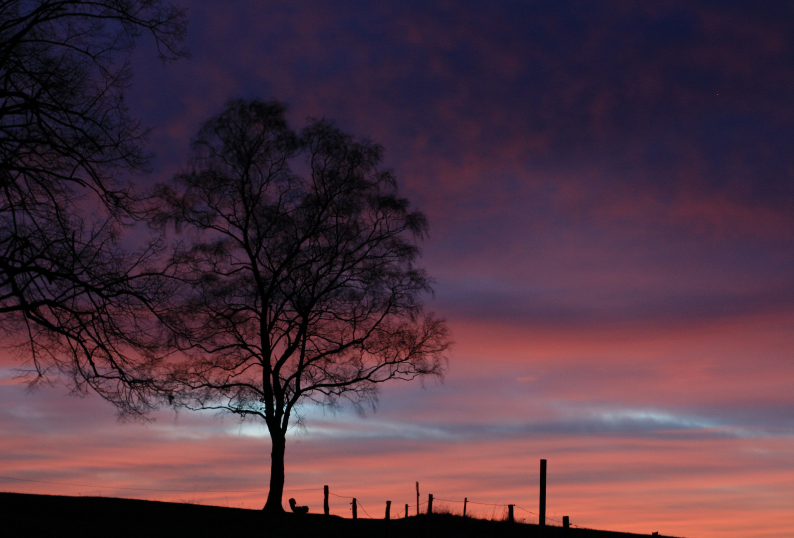 "Blood red Sky"