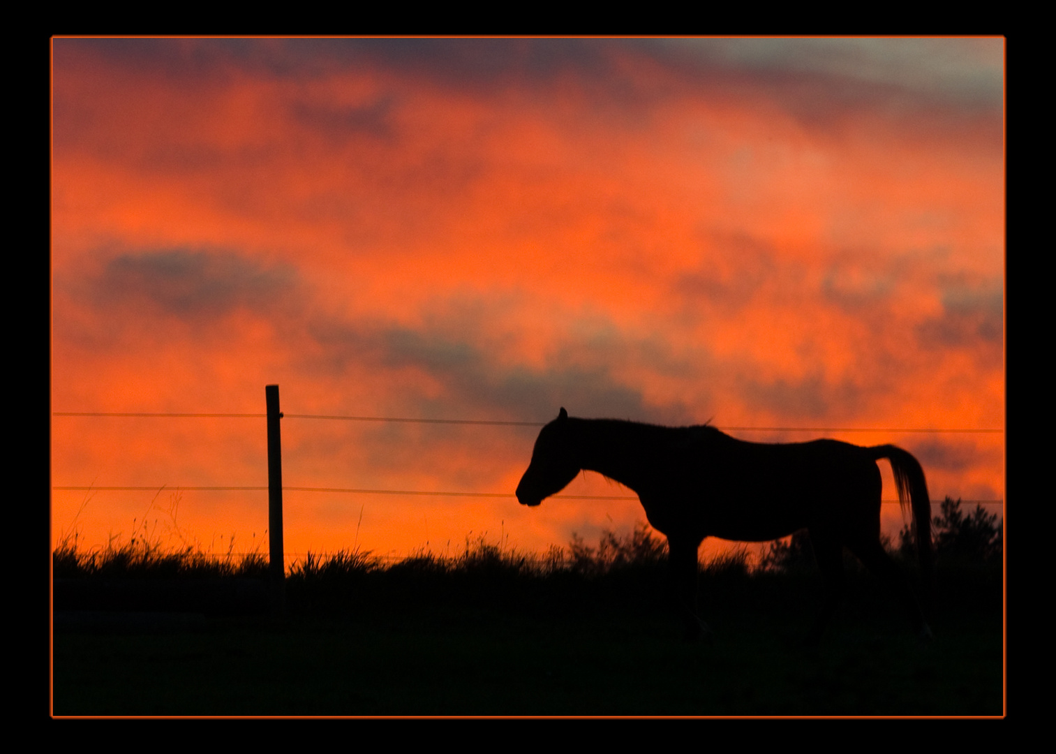 Blood Red Sky