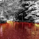 Blood River